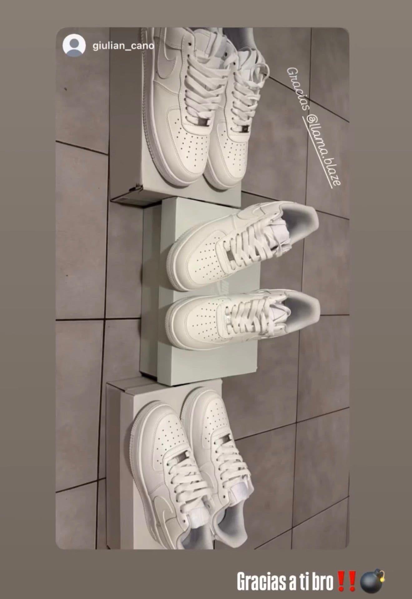 Recensione 5 dal branco